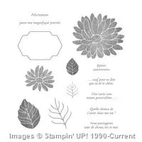 Last Eastern Palace Bundle Idea Stampin Up Demonstrator