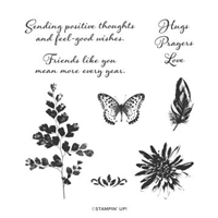 STAMPIN' UP New Releases